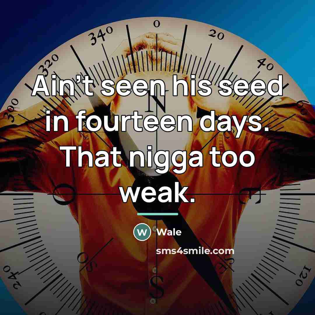 “Ain't seen his seed in fourteen days. That nigga too…” quote by Wale