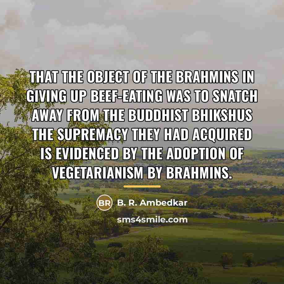 “That the object of the Brahmins in giving up beef-eating…” quote by B. R. Ambedkar