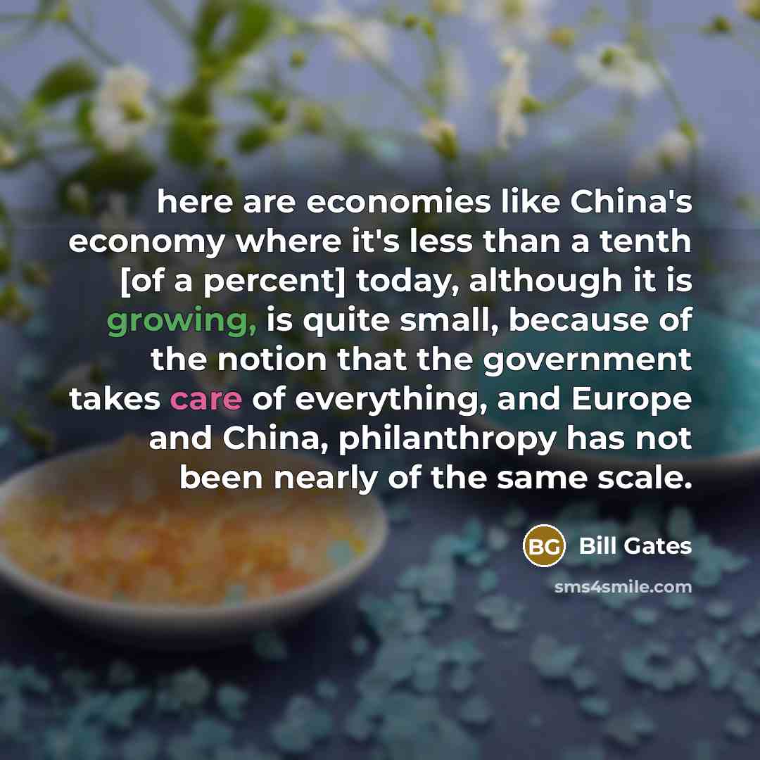 “here are economies like China's economy where it's less than…” quote by Bill Gates