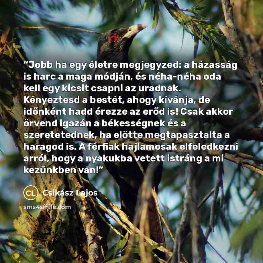 “Jobb ha egy életre megjegyzed: a házasság is harc a maga módján, és néha-néha oda kell egy kicsit csapni az uradnak. Kényeztesd a bestét, ahogy kívánja, de időnként hadd érezze az erőd is! Csak akkor örvend igazán a békességnek és a szeretetednek, ha előtte megtapasztalta a haragod is. A férfiak…” quote by Csikász Lajos