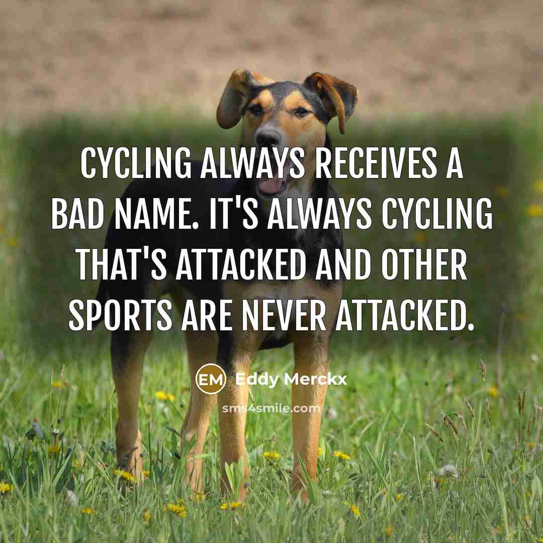 “Cycling always receives a bad name. It's always cycling that's…” quote by Eddy Merckx