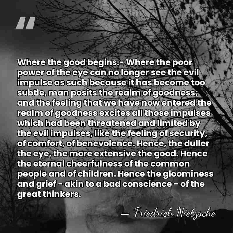 Where the good begins.- Where the poor power of the eye can&hellip; - Friedrich Nietzsche
