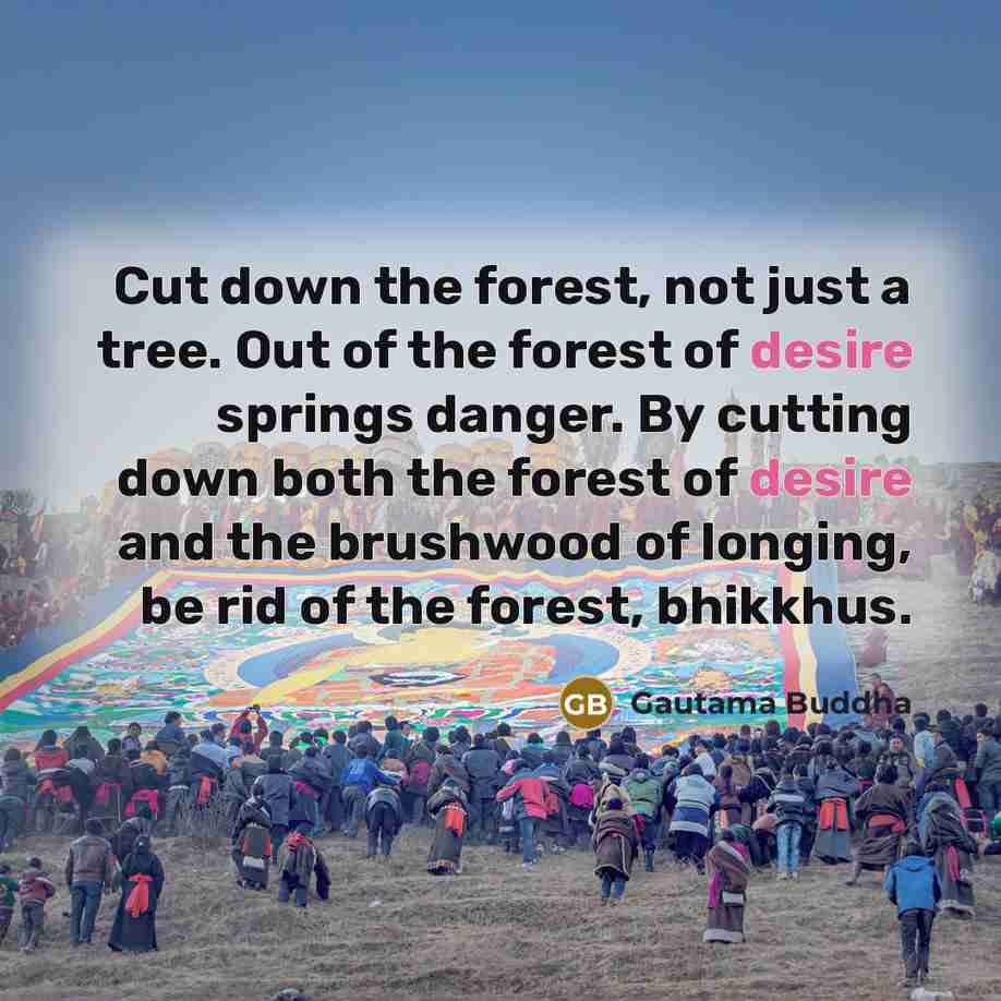 “Cut down the forest, not just a tree. Out of…” quote by Gautama Buddha