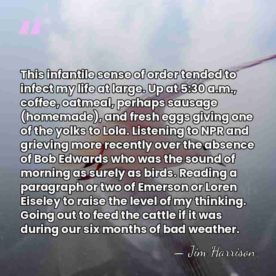 This infantile sense of order tended to infect my life at large.&hellip; - Jim Harrison
