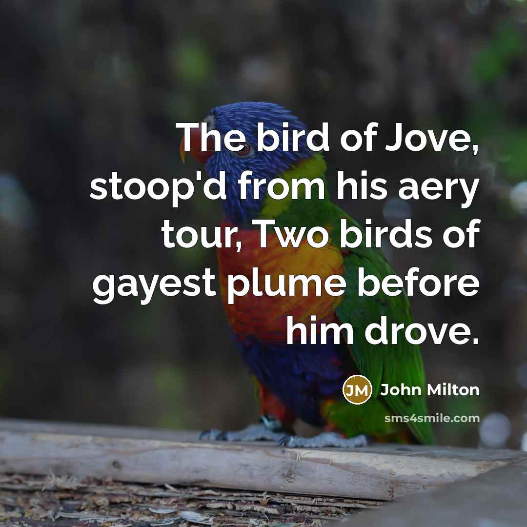“The bird of Jove, stoop'd from his aery tour, Two…” quote by John Milton