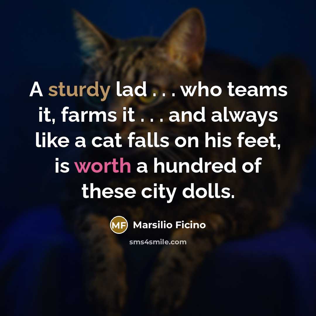 “A sturdy lad . . . who teams it, farms…” quote by Marsilio Ficino
