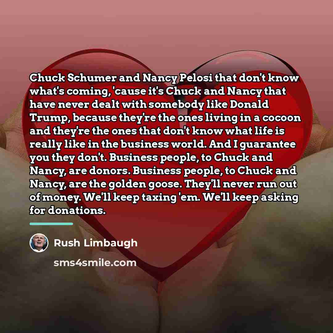 “Chuck Schumer and Nancy Pelosi that don't know what's coming,…” quote by Rush Limbaugh