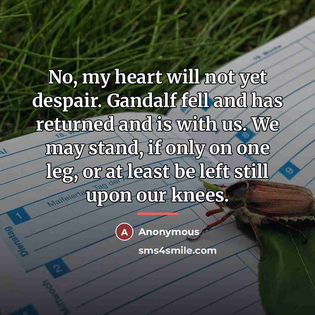 “No, my heart will not yet despair. Gandalf fell and…” quote by Anonymous