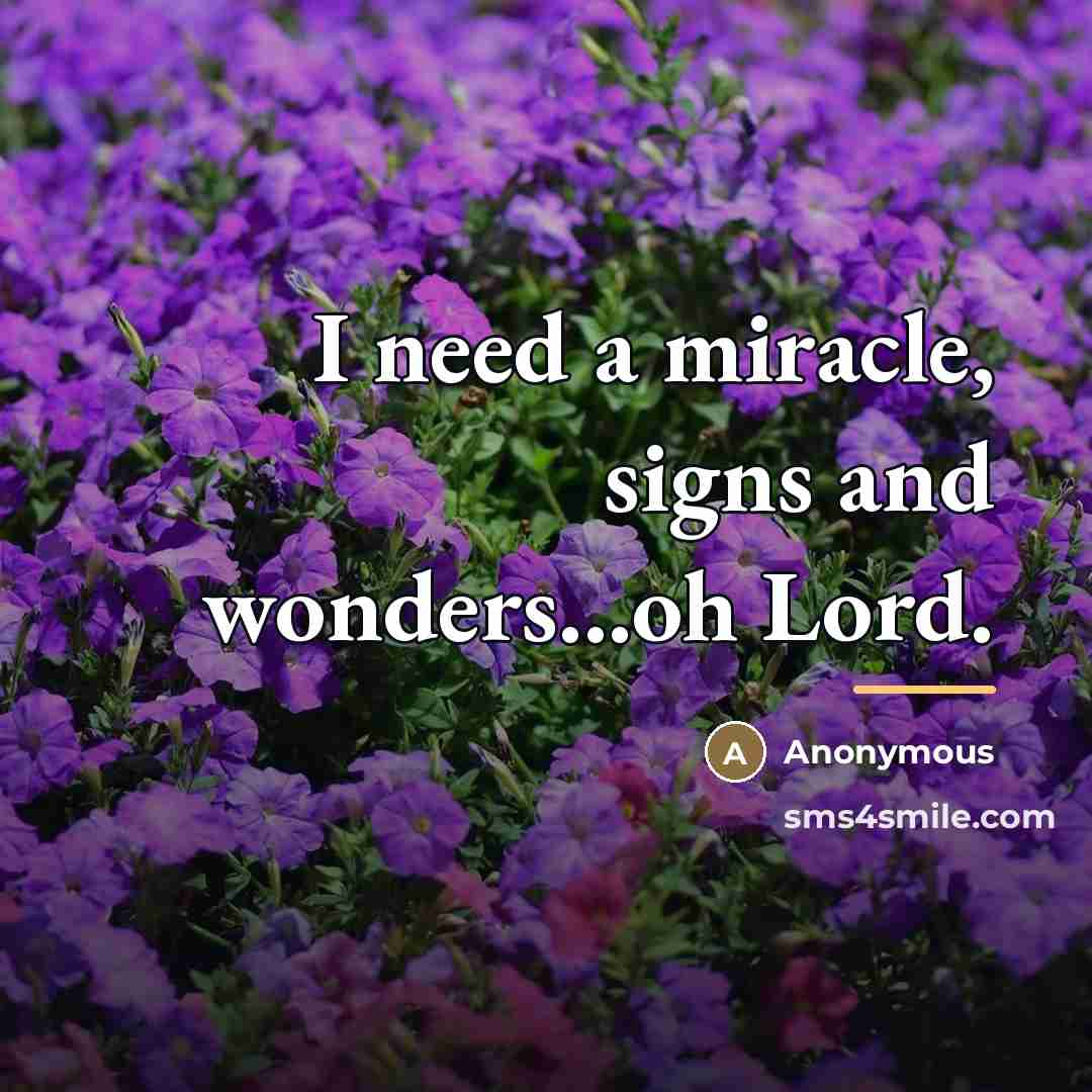 “I need a miracle, signs and wonders...oh Lord.…” quote by Anonymous
