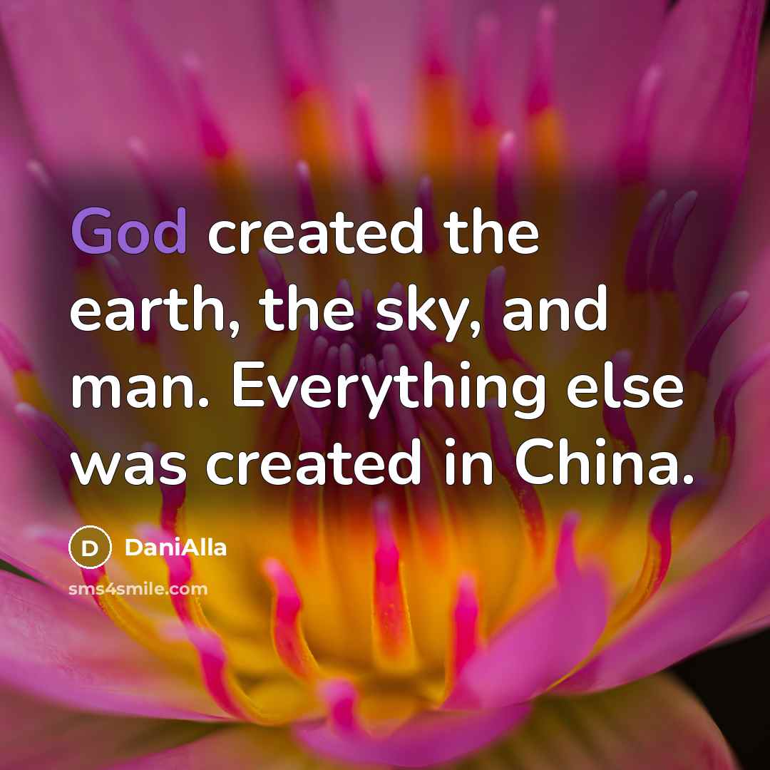 “God created the earth, the sky, and man. Everything else was created in China.” quote by DaniAlla