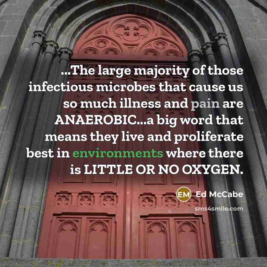 “...The large majority of those infectious microbes that cause us so much illness and pain are ANAEROBIC...a big word that means they live and proliferate best in environments where there is LITTLE OR NO OXYGEN.” quote by Ed McCabe