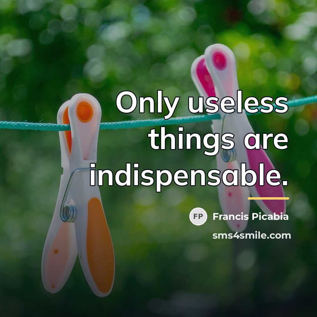 “Only useless things are indispensable.…” quote by Francis Picabia