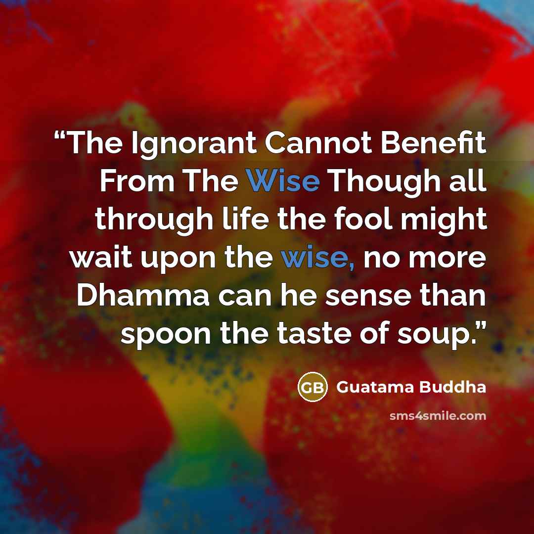 “The Ignorant Cannot Benefit From The Wise Though all through life the fool might wait upon the wise, no more Dhamma can he sense than spoon the taste of soup.” quote by Guatama Buddha
