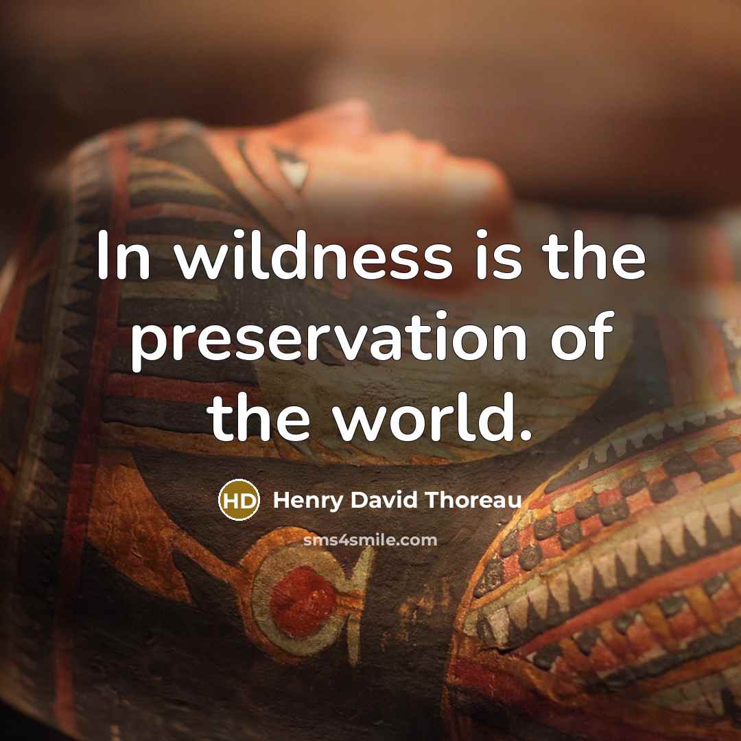 “In wildness is the preservation of the world.” quote by Henry David Thoreau