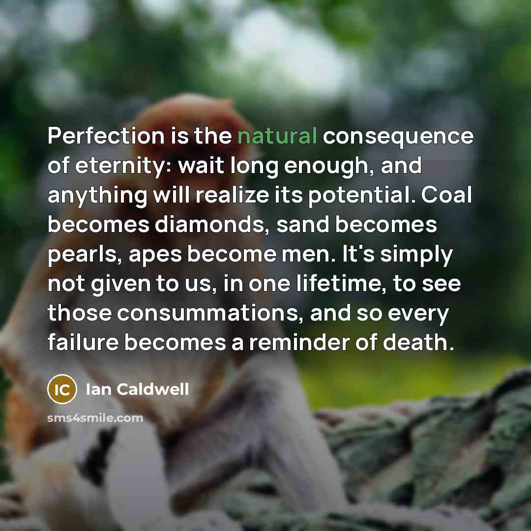 “Perfection is the natural consequence of eternity: wait long enough,…” quote by Ian Caldwell