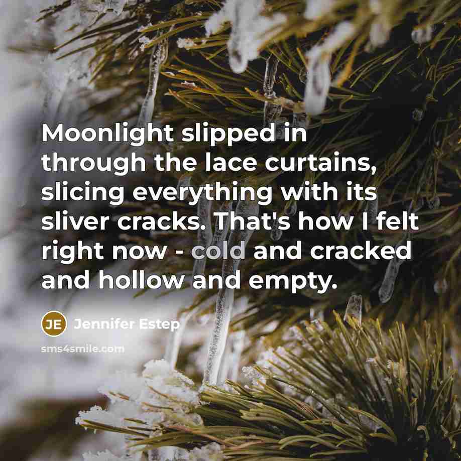 “Moonlight slipped in through the lace curtains, slicing everything with…” quote by Jennifer Estep
