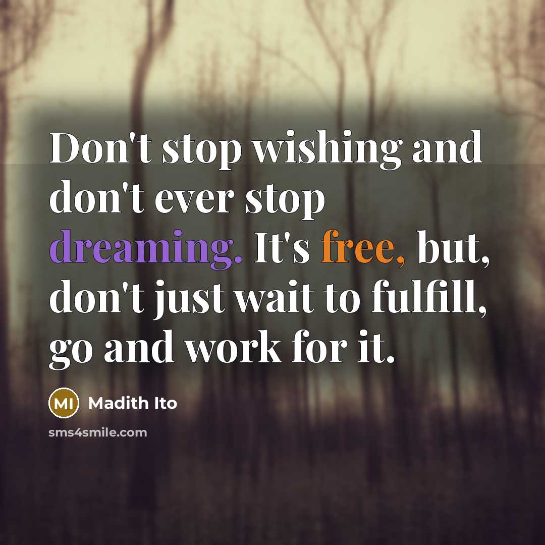 “Don't stop wishing and don't ever stop dreaming. It's free, but, don't just wait to fulfill, go and work for it.” quote by Madith Ito