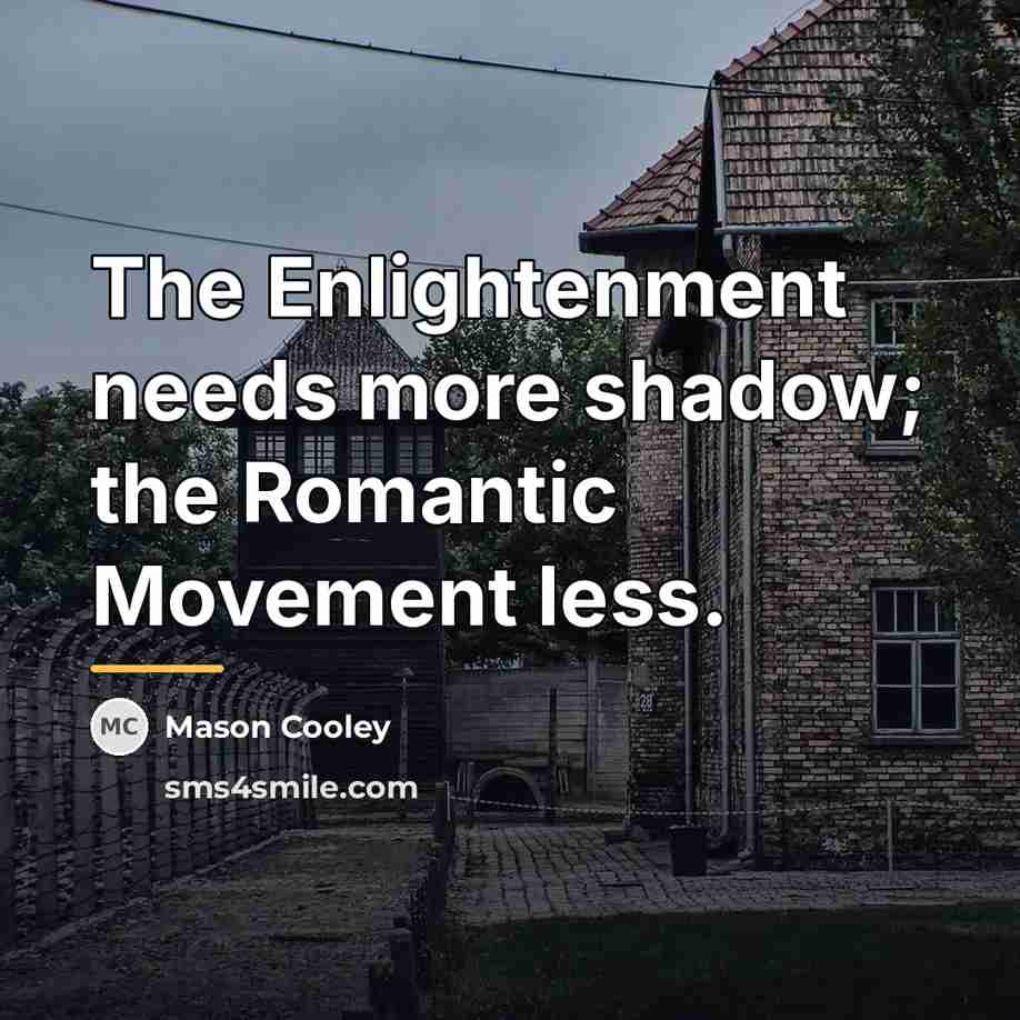 “The Enlightenment needs more shadow; the Romantic Movement less.…” quote by Mason Cooley