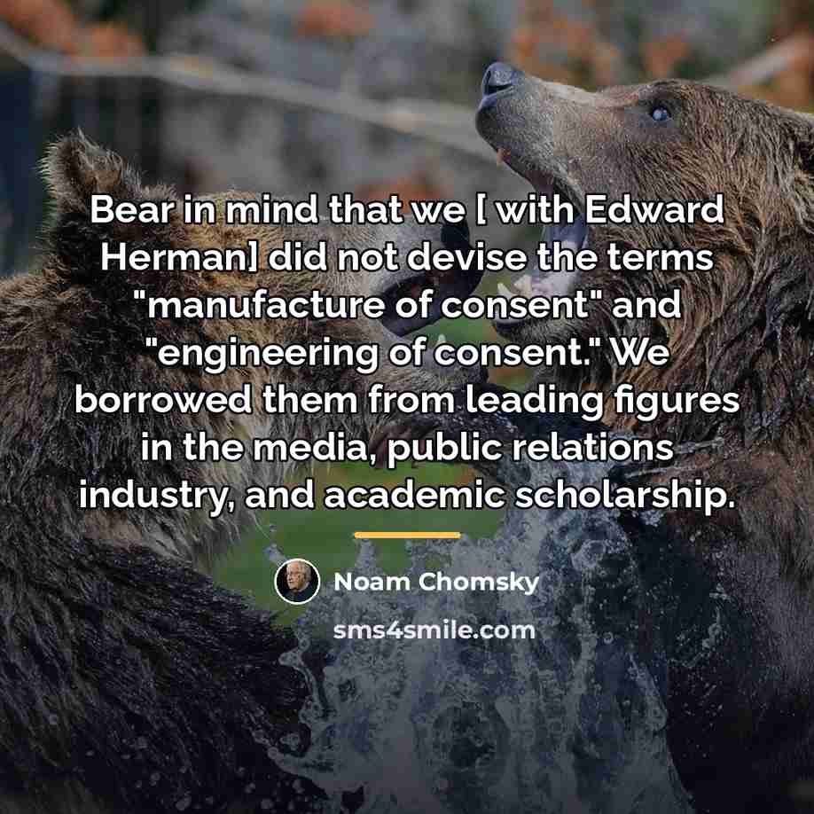 “Bear in mind that we [ with Edward Herman] did…” quote by Noam Chomsky