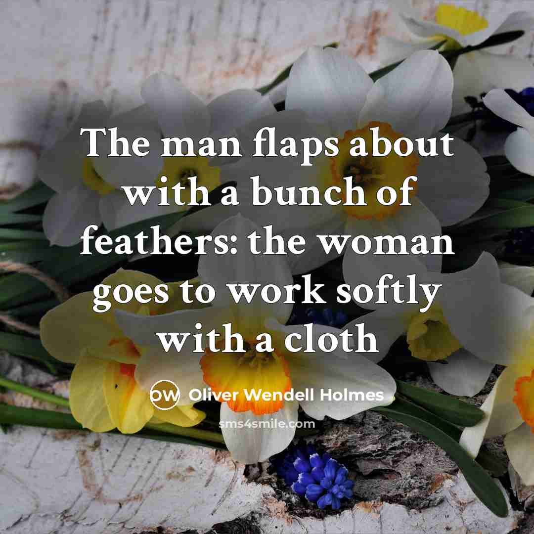 “The man flaps about with a bunch of feathers: the…” quote by Oliver Wendell Holmes