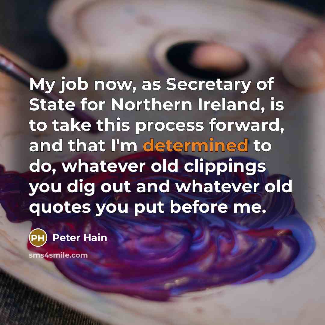 “My job now, as Secretary of State for Northern Ireland,…” quote by Peter Hain