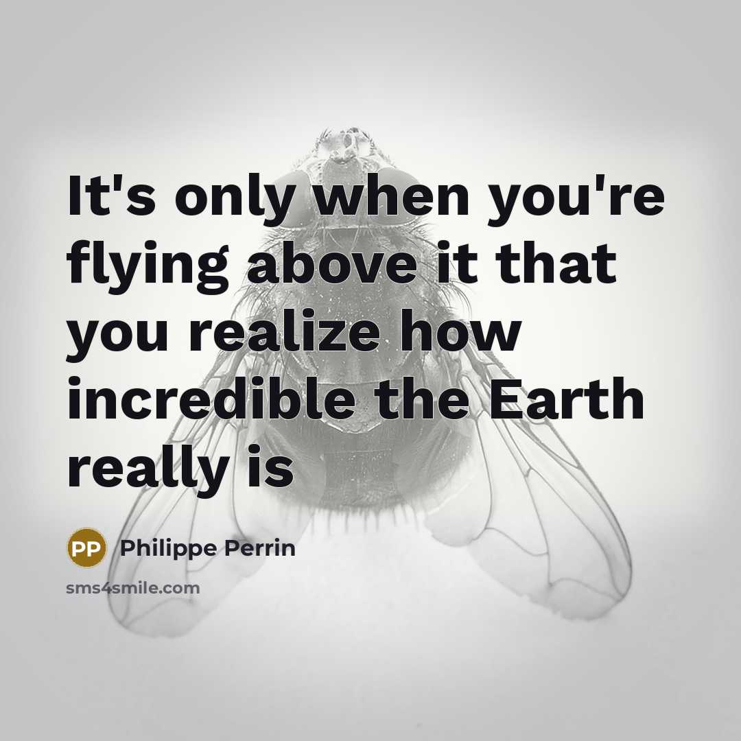 “It's only when you're flying above it that you realize…” quote by Philippe Perrin