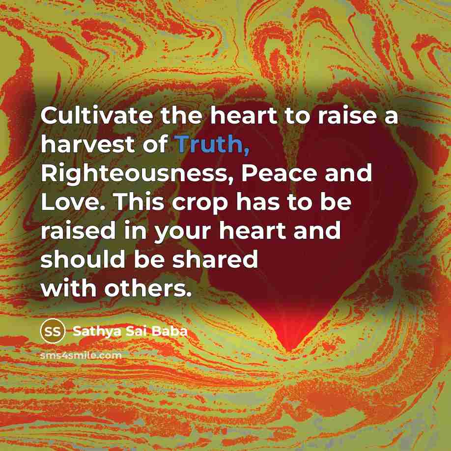 “Cultivate the heart to raise a harvest of Truth, Righteousness,…” quote by Sathya Sai Baba