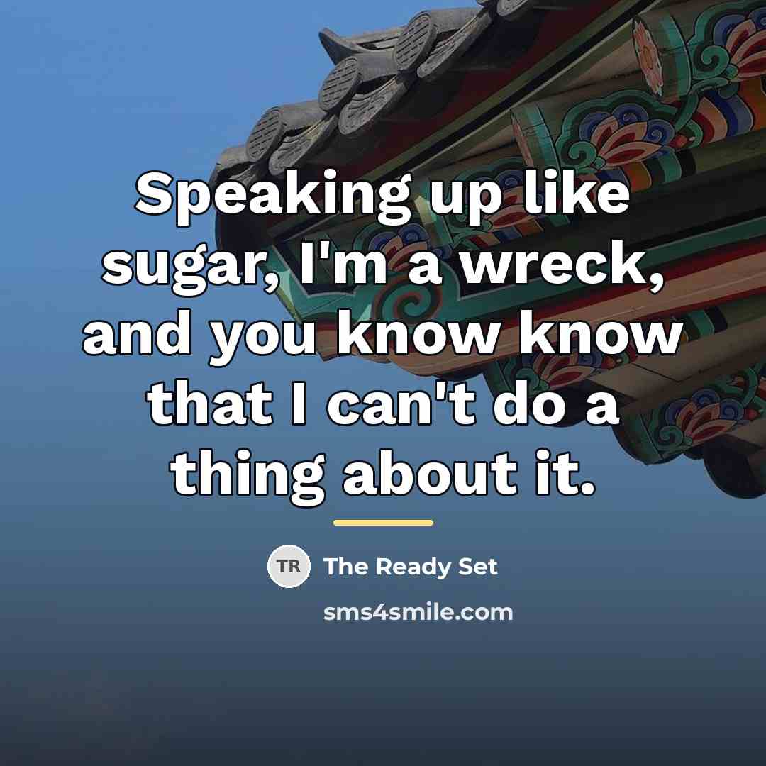 “Speaking up like sugar, I'm a wreck, and you know…” quote by The Ready Set