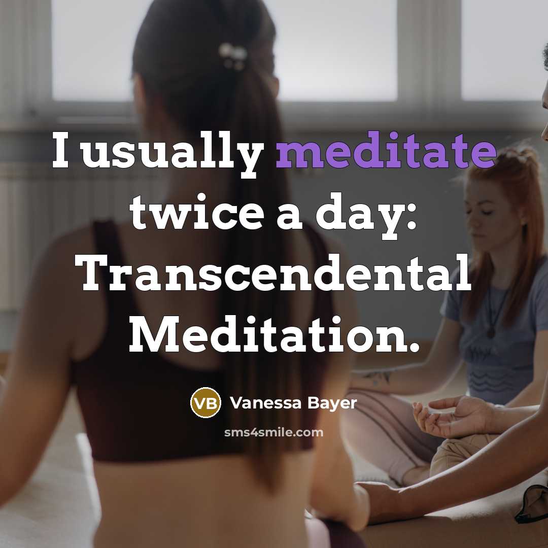 “I usually meditate twice a day: Transcendental Meditation.…” quote by Vanessa Bayer