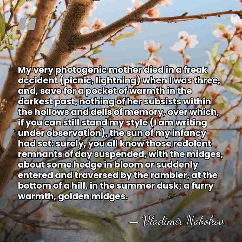 My very photogenic mother died in a freak accident (picnic, lightning) when&hellip; - Vladimir Nabokov