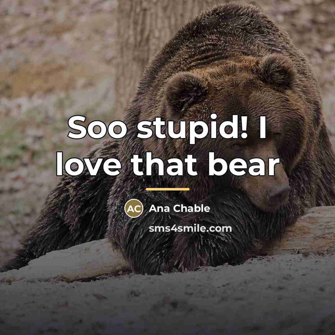 “Soo stupid! I love that bear…” quote by Ana Chable