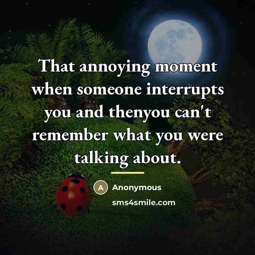 “That annoying moment when someone interrupts you and thenyou can't…” quote by Anonymous