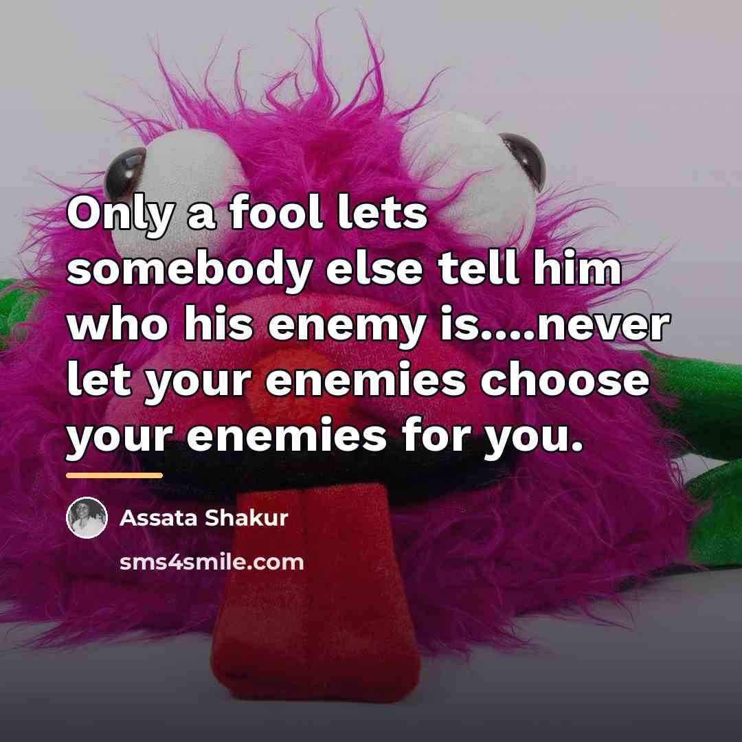 “Only a fool lets somebody else tell him who his…” quote by Assata Shakur