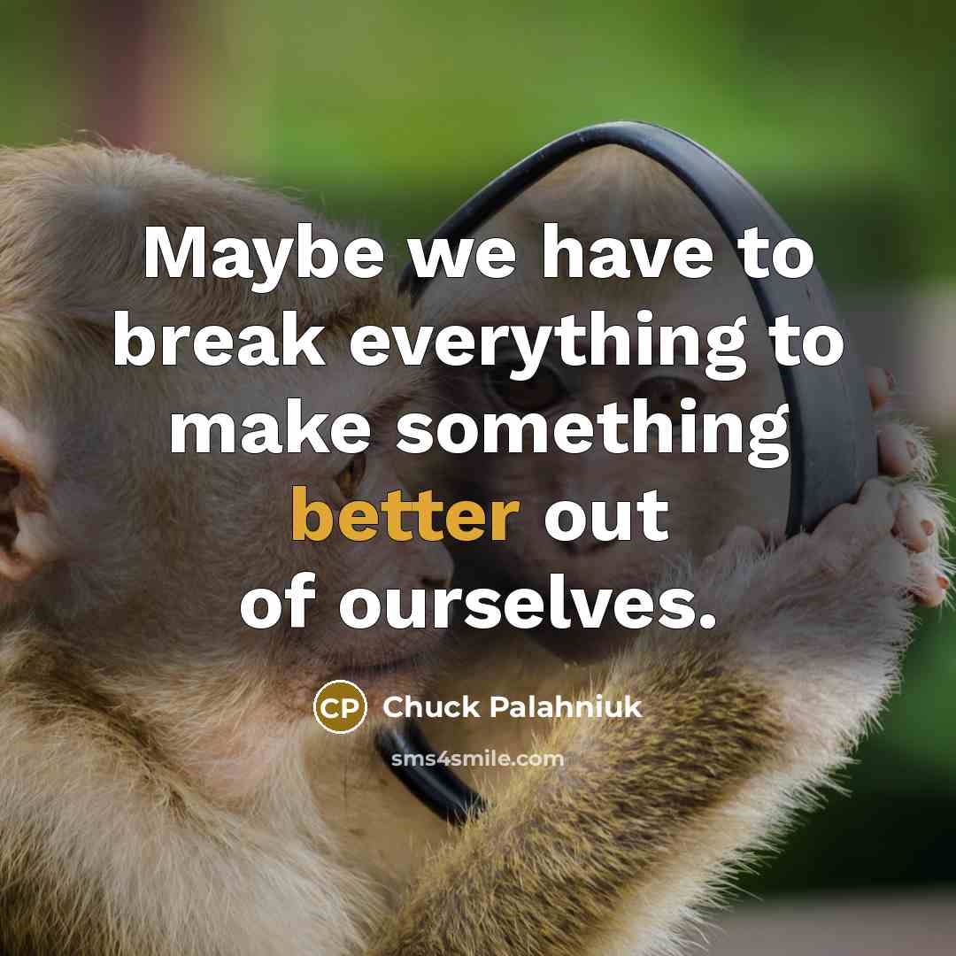 “Maybe we have to break everything to make something better out of ourselves.” quote by Chuck Palahniuk