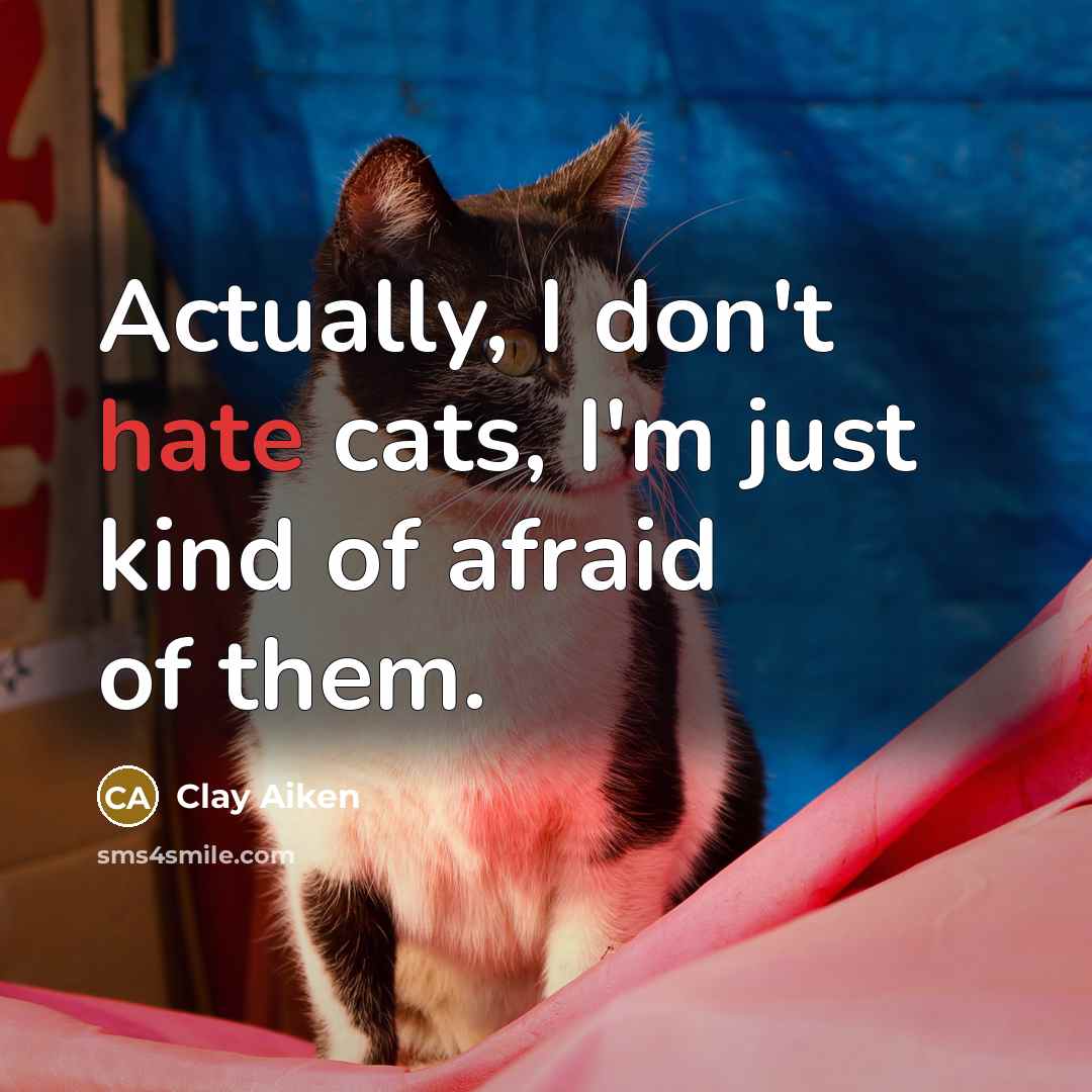 “Actually, I don't hate cats, I'm just kind of afraid…” quote by Clay Aiken