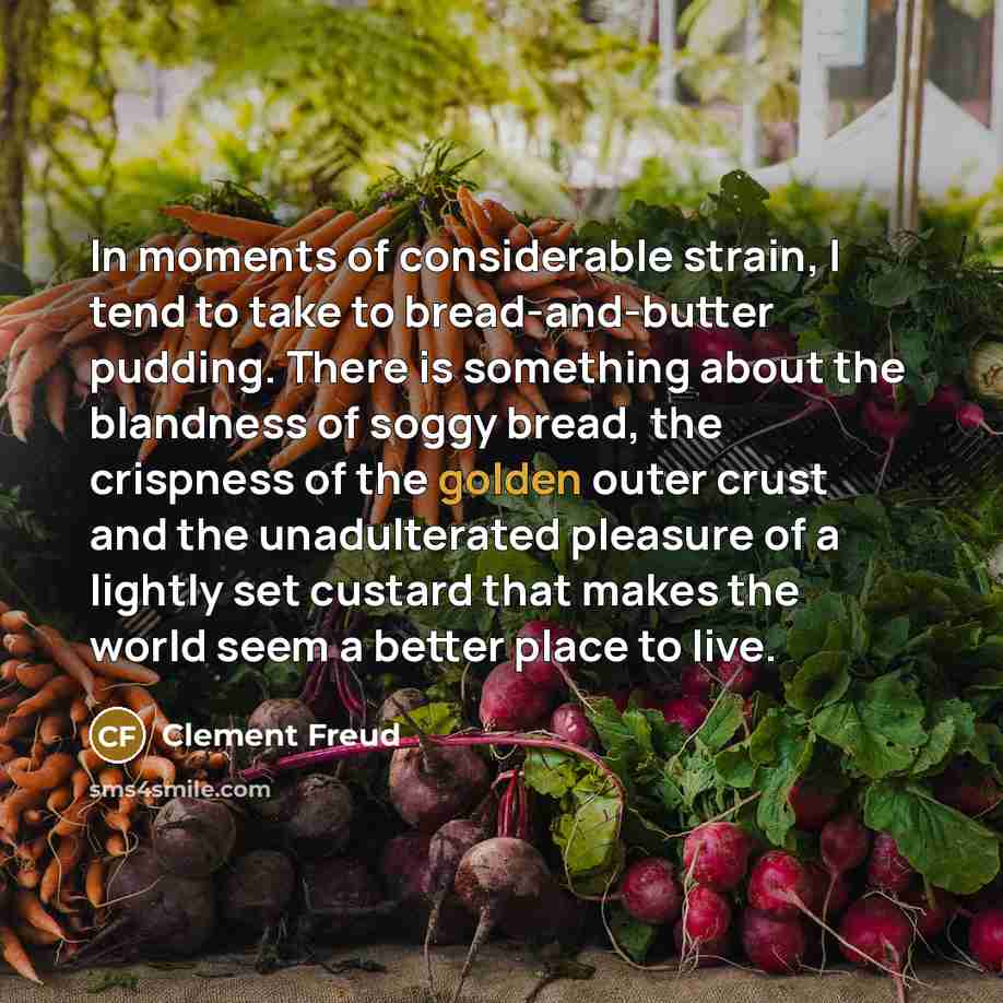 “In moments of considerable strain, I tend to take to…” quote by Clement Freud