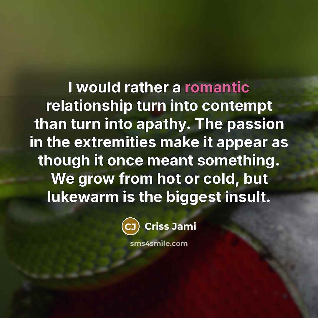 “I would rather a romantic relationship turn into contempt than…” quote by Criss Jami