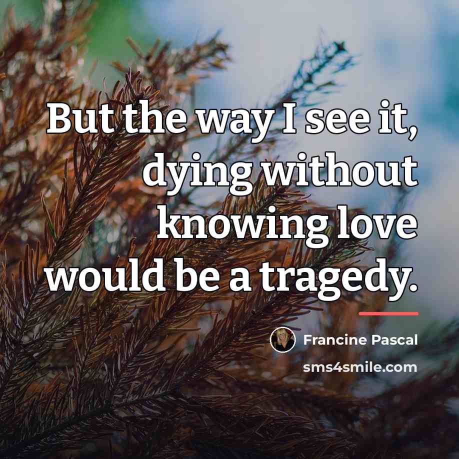 “But the way I see it, dying without knowing love…” quote by Francine Pascal