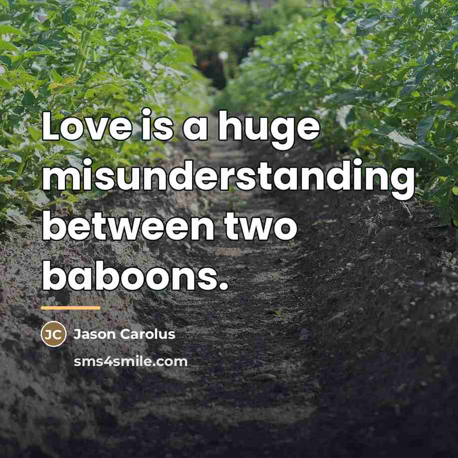 “Love is a huge misunderstanding between two baboons.…” quote by Jason Carolus