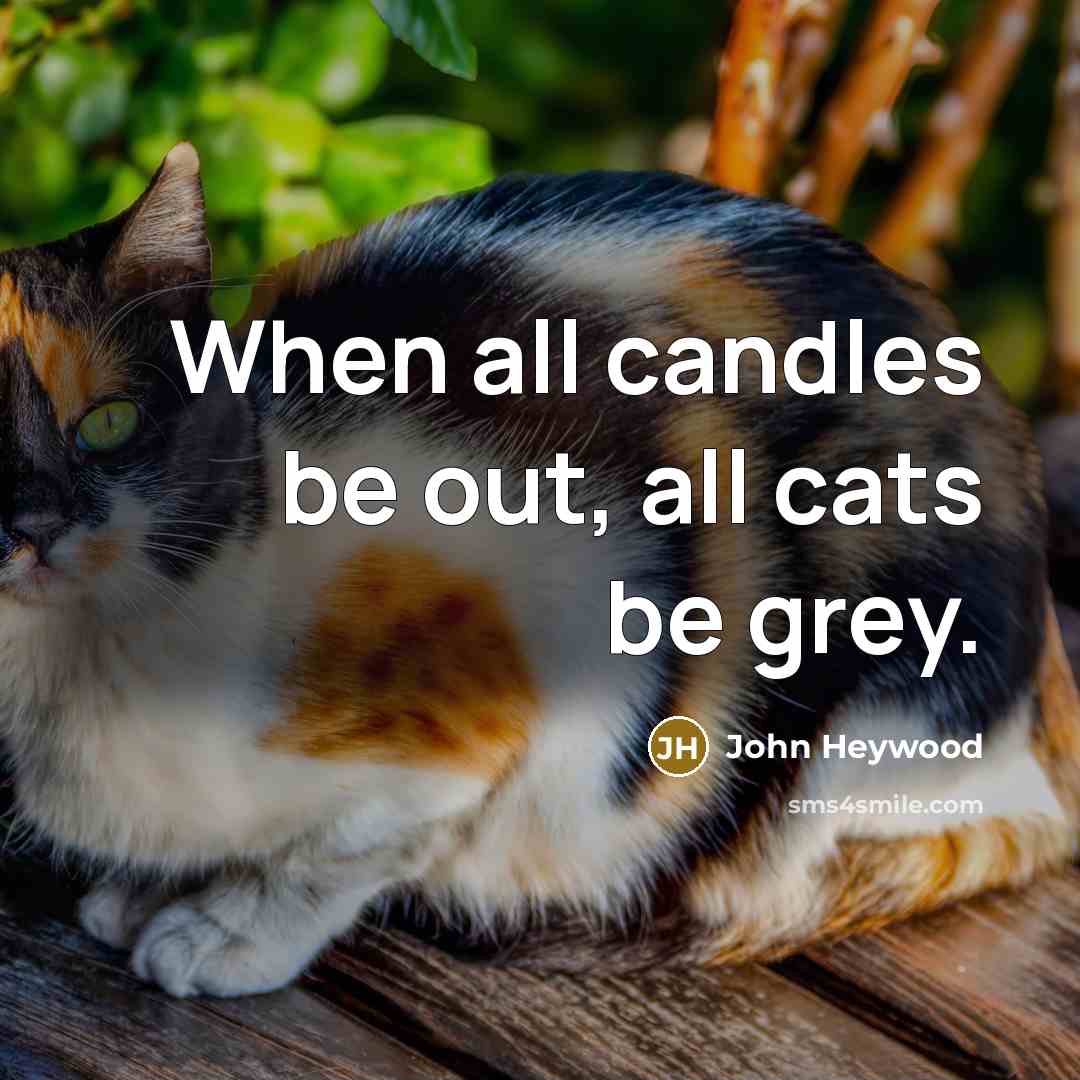 “When all candles be out, all cats be grey.…” quote by John Heywood