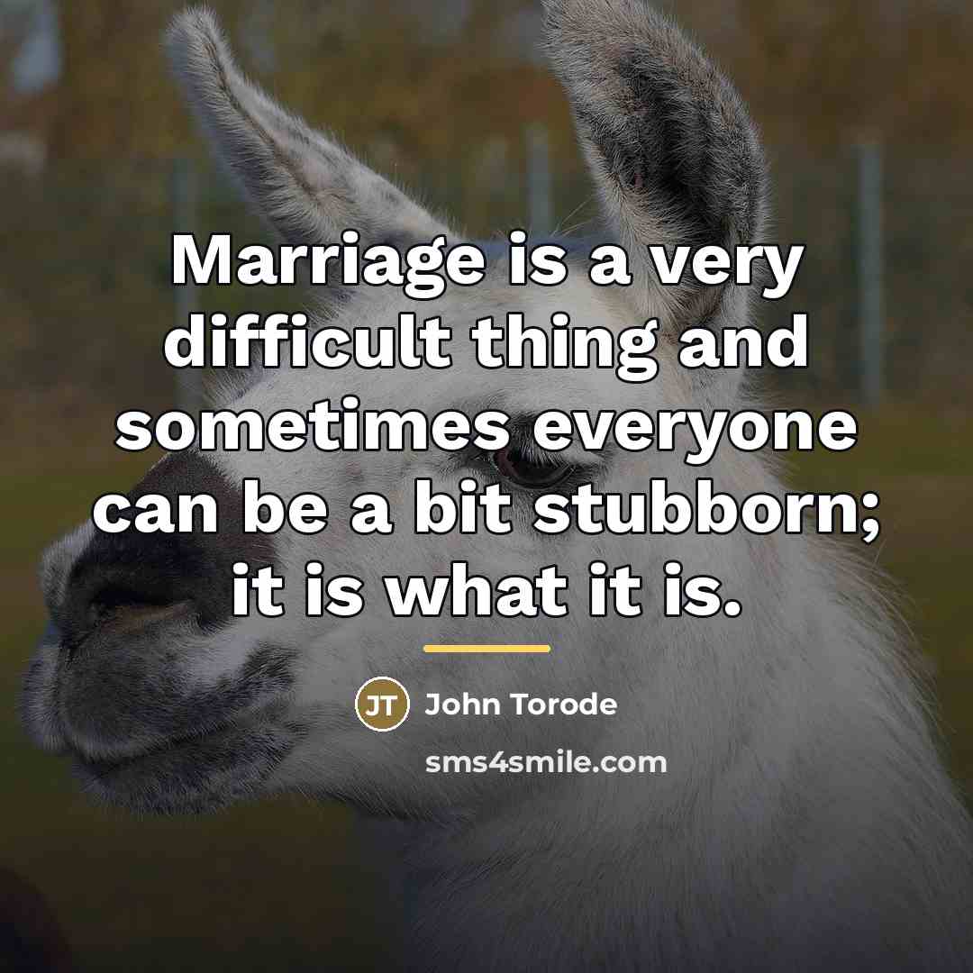 “Marriage is a very difficult thing and sometimes everyone can…” quote by John Torode
