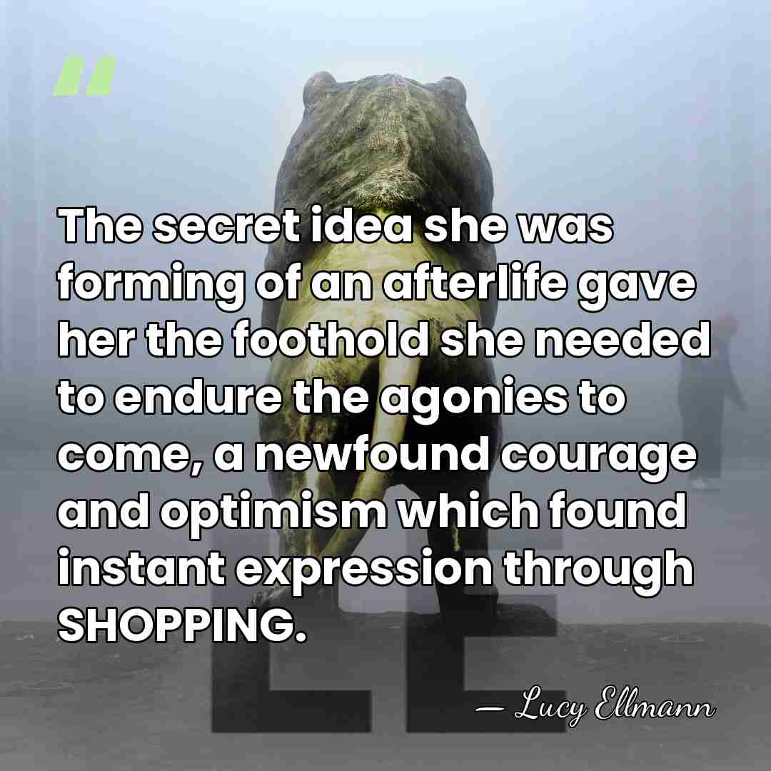The secret idea she was forming of an afterlife gave her the&hellip; - Lucy Ellmann