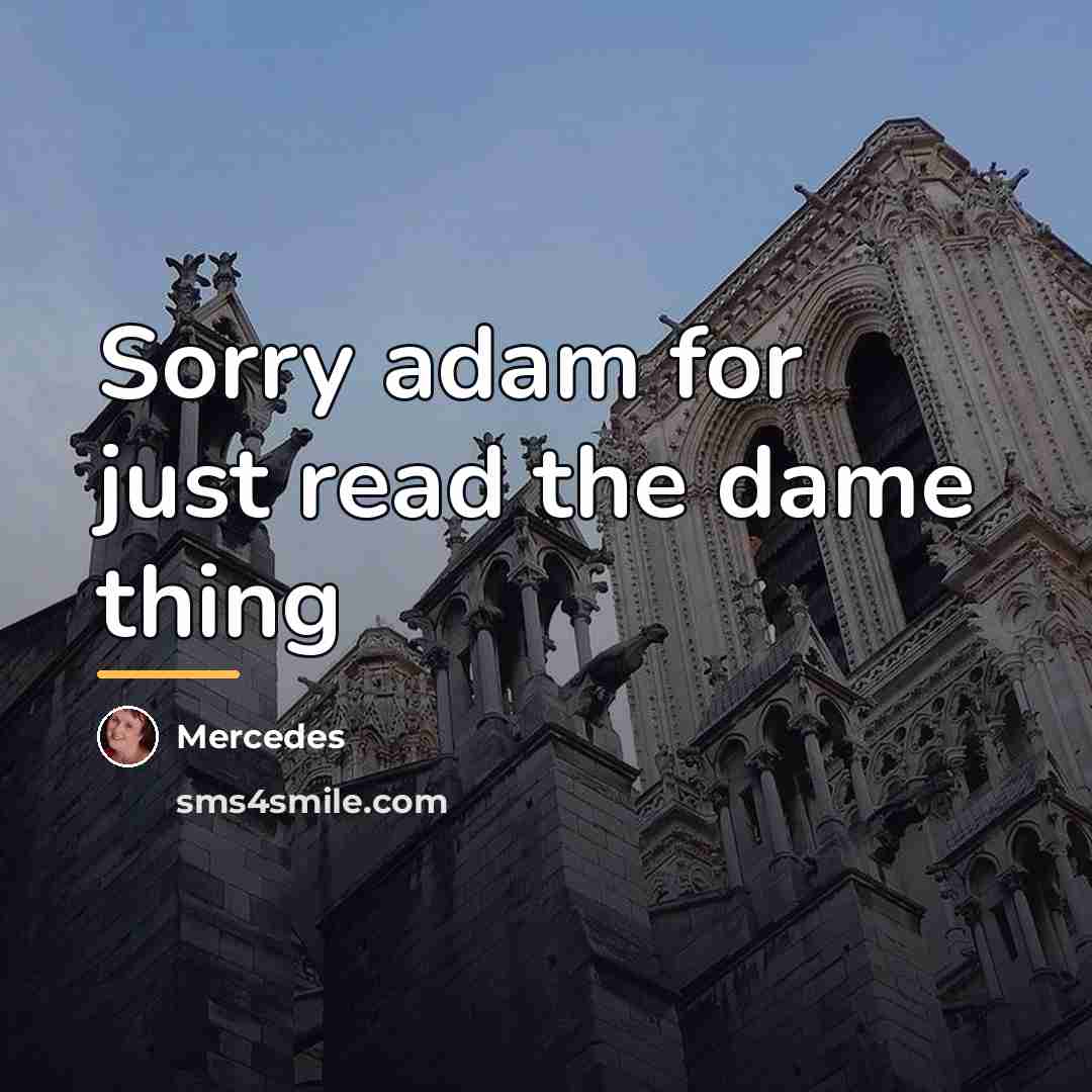 “Sorry adam for just read the dame thing…” quote by Mercedes