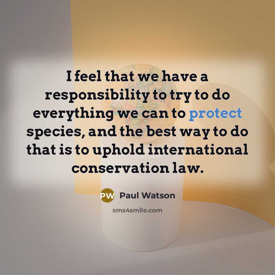 “I feel that we have a responsibility to try to…” quote by Paul Watson