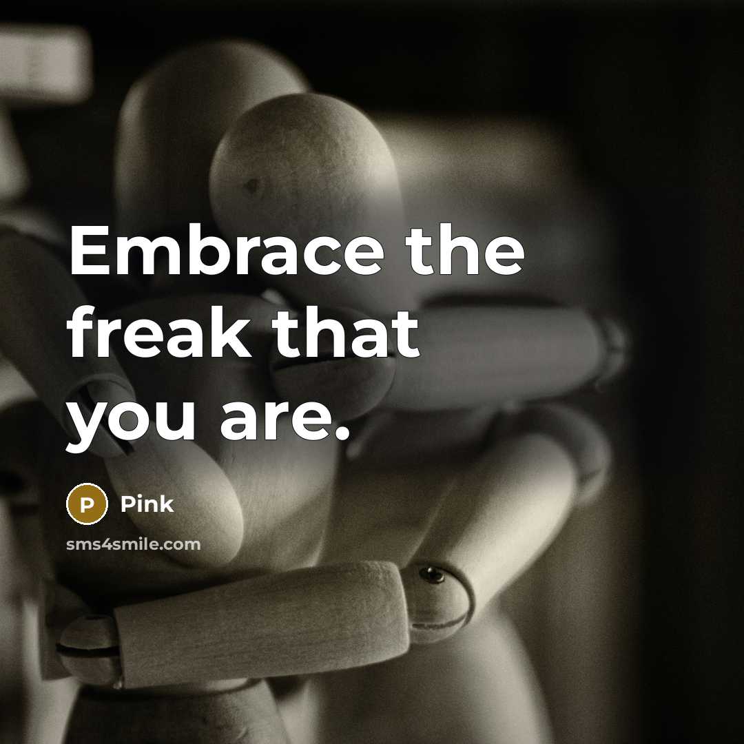 “Embrace the freak that you are.” quote by Pink