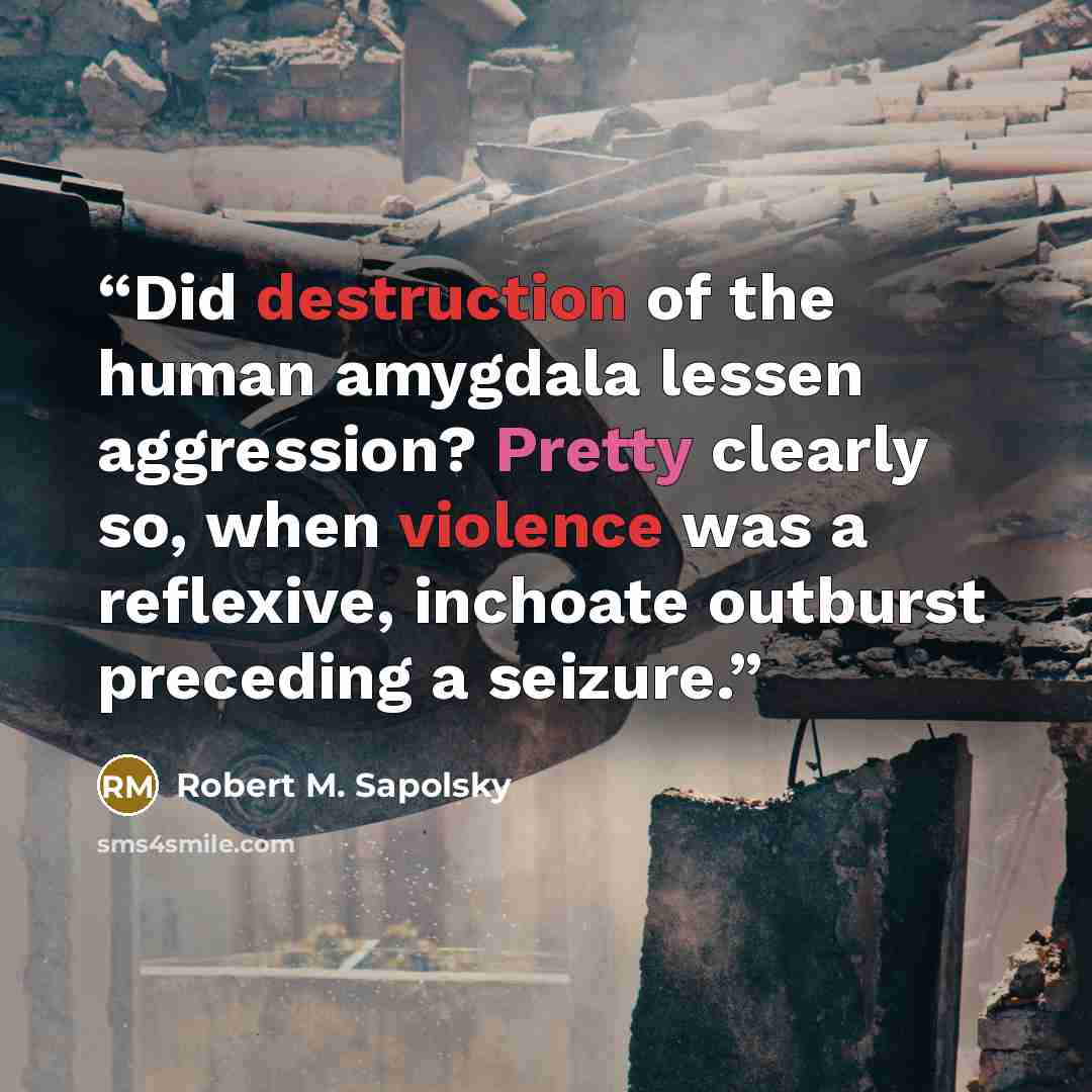 “Did destruction of the human amygdala lessen aggression? Pretty clearly so, when violence was a reflexive, inchoate outburst preceding a seizure.” quote by Robert M. Sapolsky