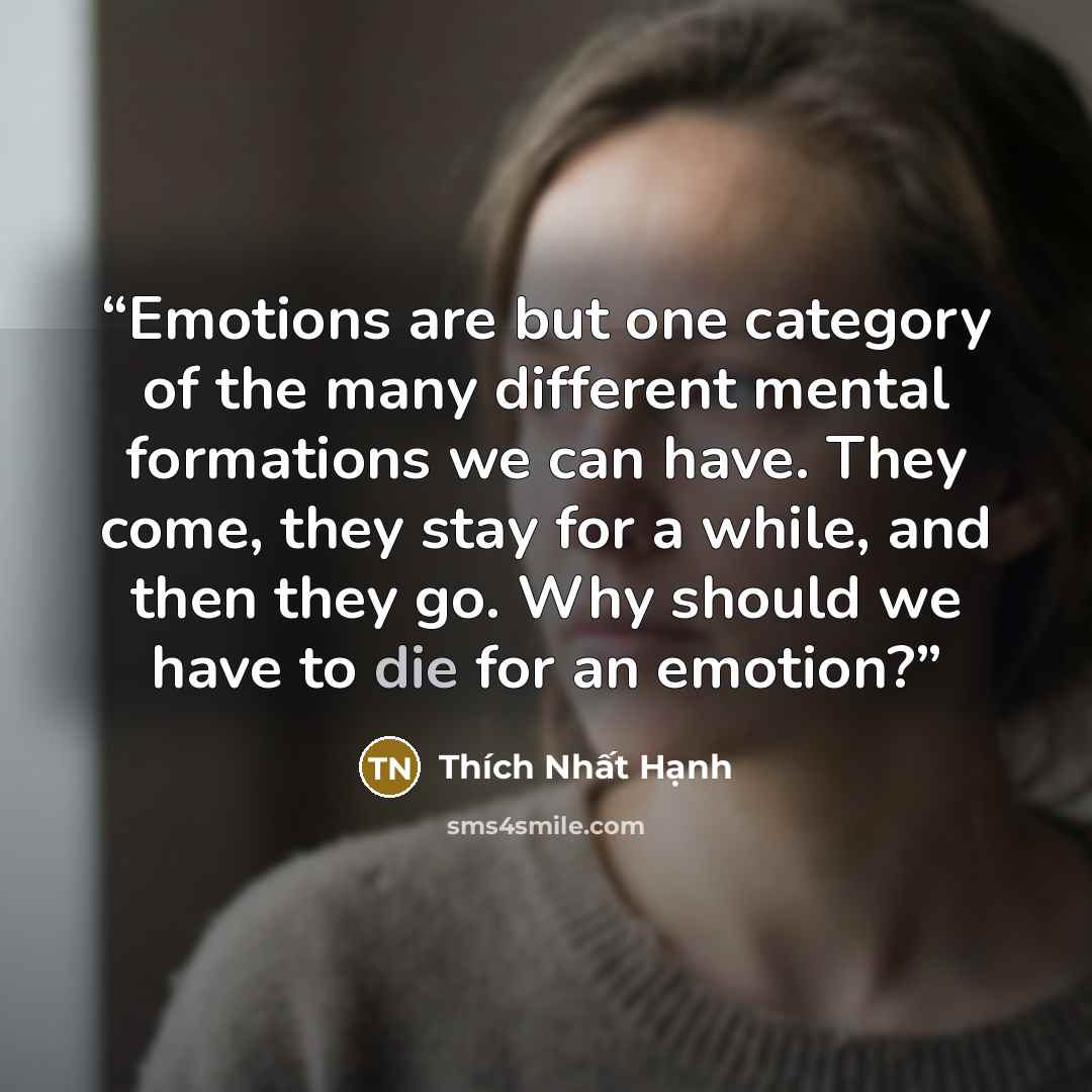 “Emotions are but one category of the many different mental formations we can have. They come, they stay for a while, and then they go. Why should we have to die for an emotion?” quote by Thích Nhất Hạnh