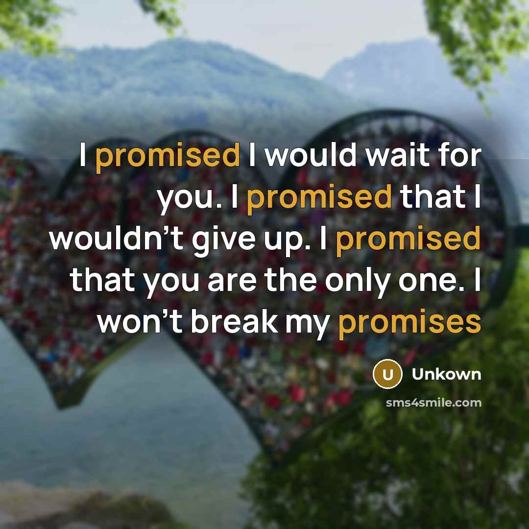 “I promised I would wait for you. I promised that I wouldn't give up. I promised that you are the only one. I won't break my promises” quote by Unkown