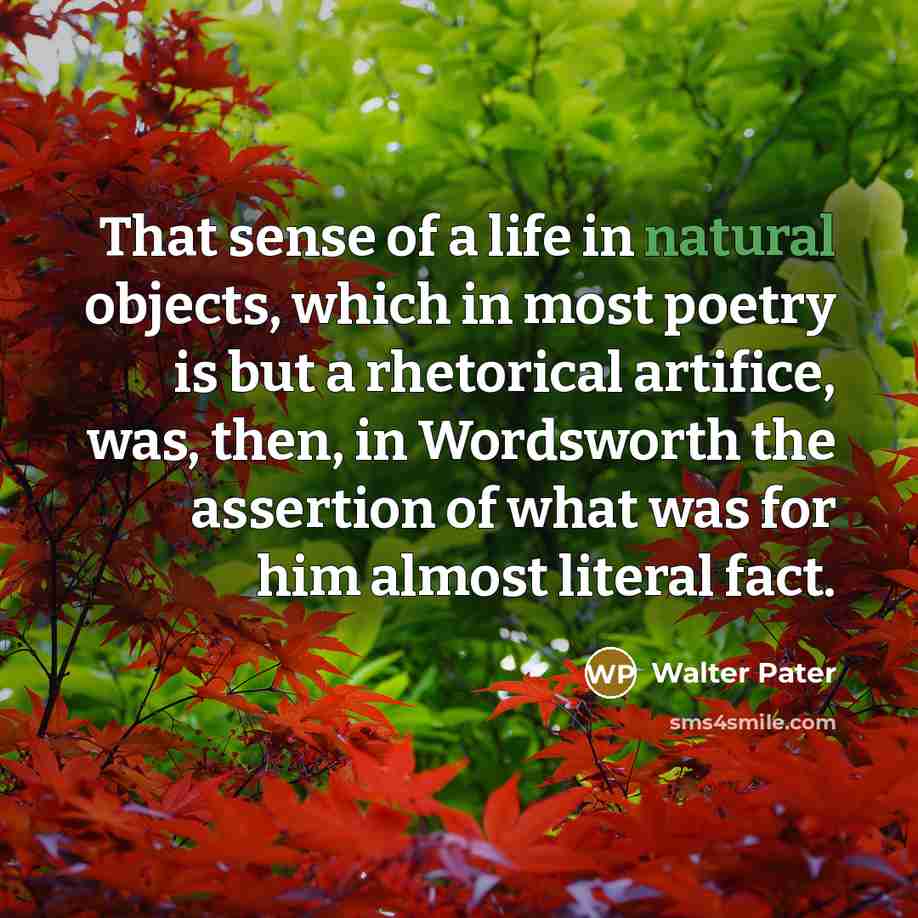 “That sense of a life in natural objects, which in…” quote by Walter Pater