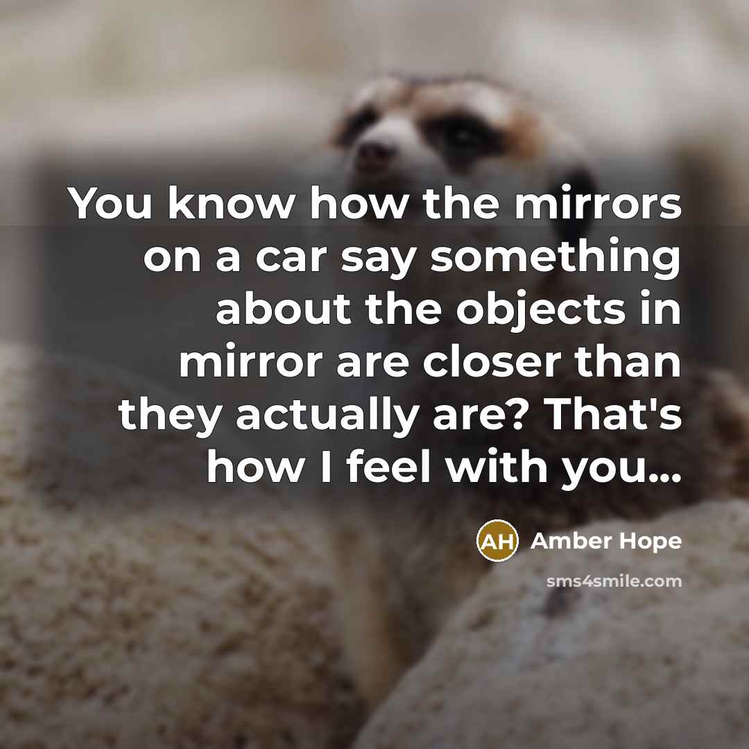 “You know how the mirrors on a car say something…” quote by Amber Hope